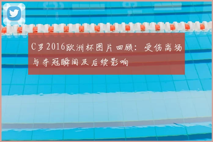 C罗2016欧洲杯图片回顾：受伤离场与夺冠瞬间及后续影响