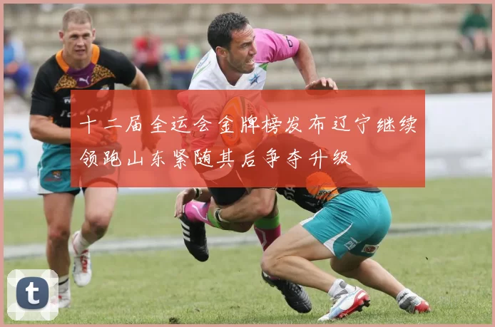 十二届全运会金牌榜发布辽宁继续领跑山东紧随其后争夺升级