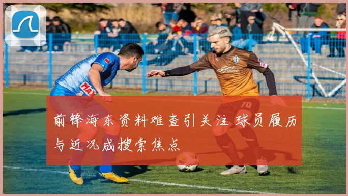 前锋海东资料难查引关注 球员履历与近况成搜索焦点