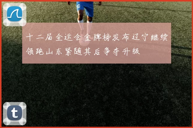 十二届全运会金牌榜发布辽宁继续领跑山东紧随其后争夺升级