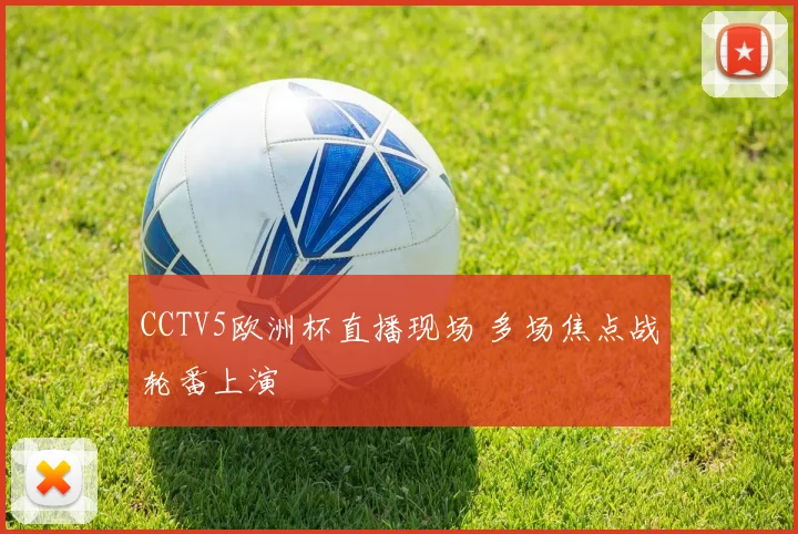 CCTV5欧洲杯直播现场 多场焦点战轮番上演