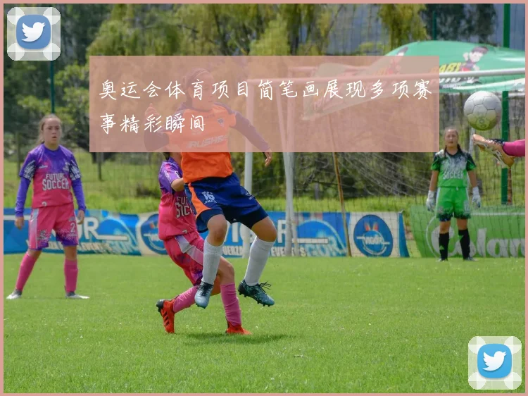 奥运会体育项目简笔画展现多项赛事精彩瞬间